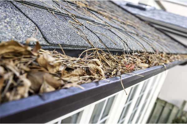 gutter cleaning Hertford